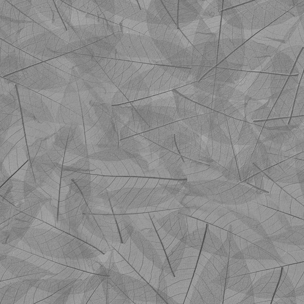 Skeleton Leaves Antracite Featured Image