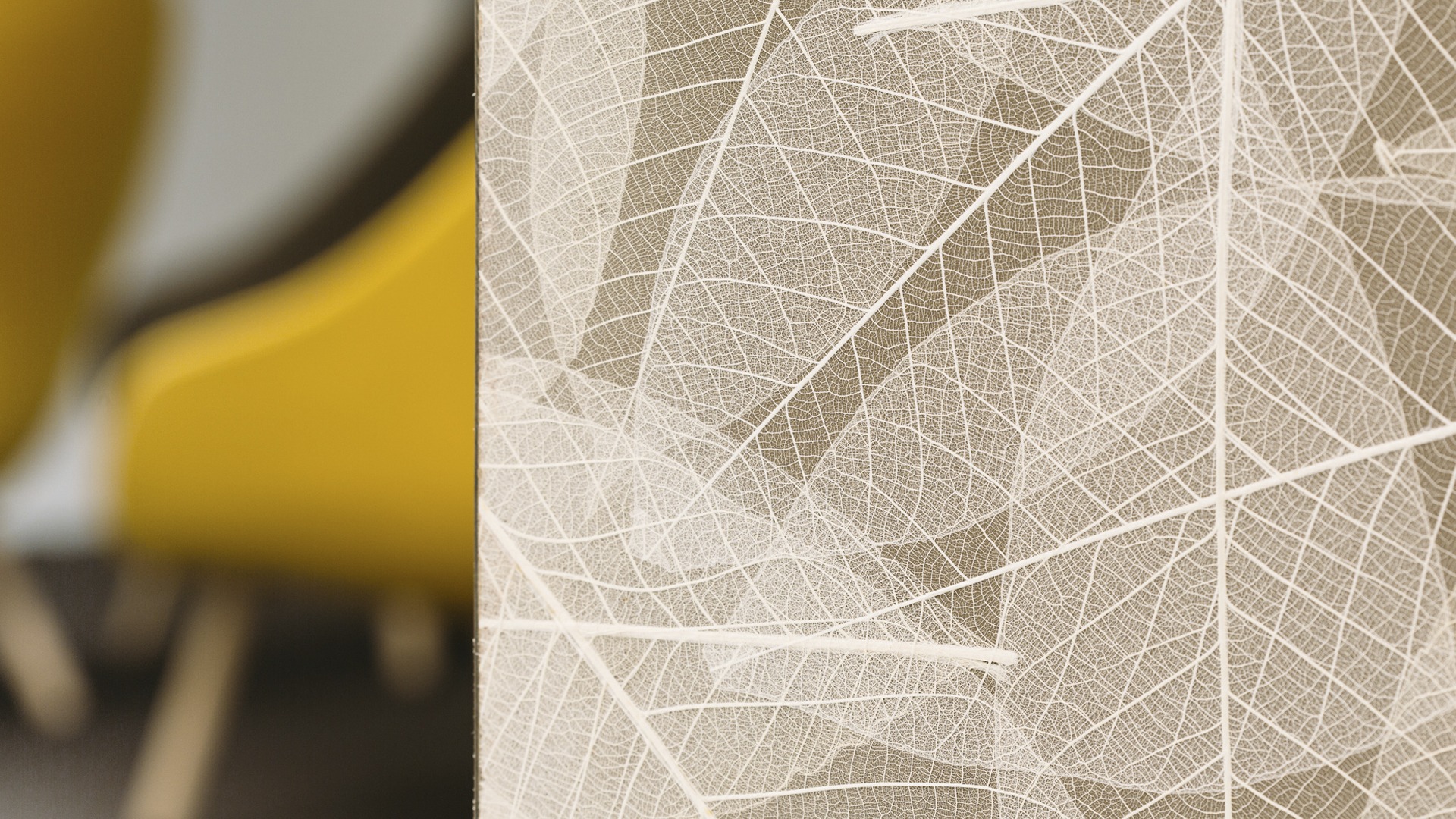 Skeleton Leaves Header Image