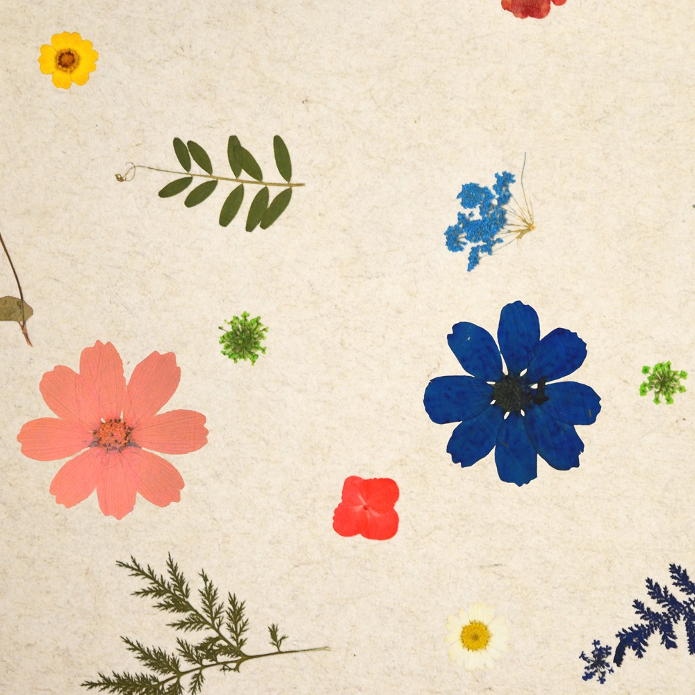 Superbloom Featured Image