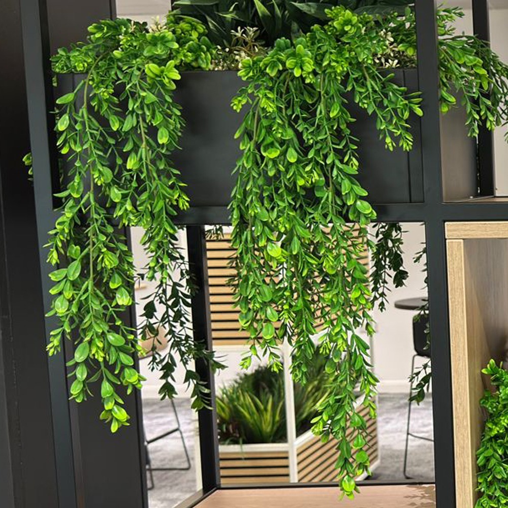 Extendable Trailing Foliage Featured Image