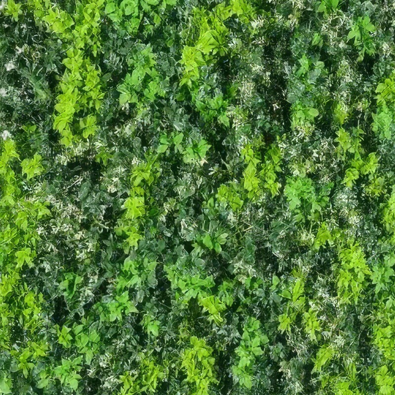 Luxury Box Hedges Featured Image
