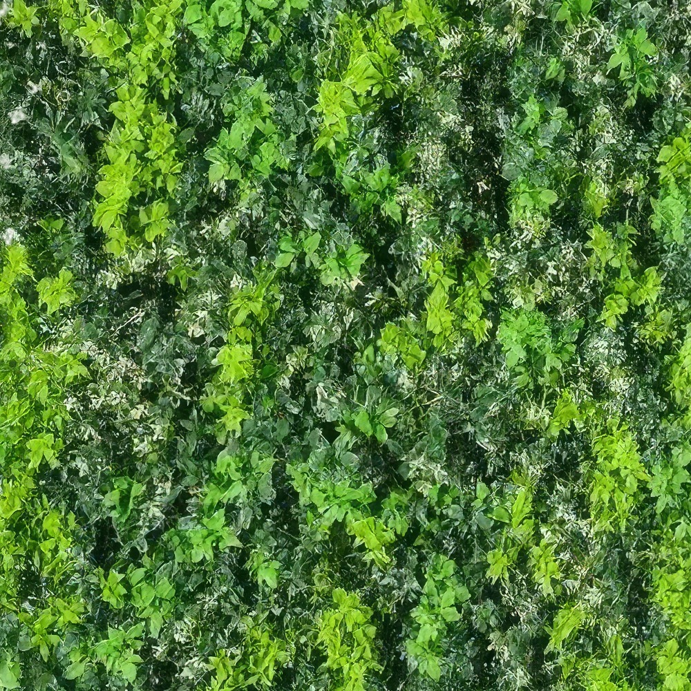 Luxury Box Hedges Featured Image