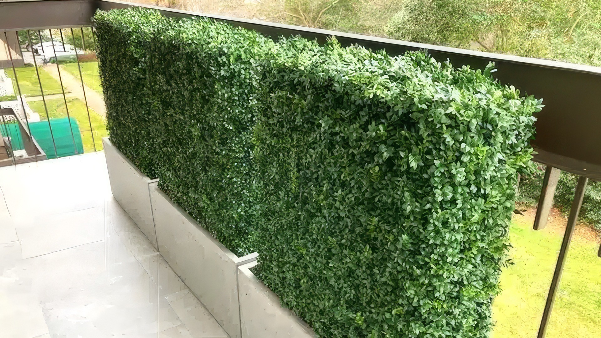 Luxury Box Hedges Header Image