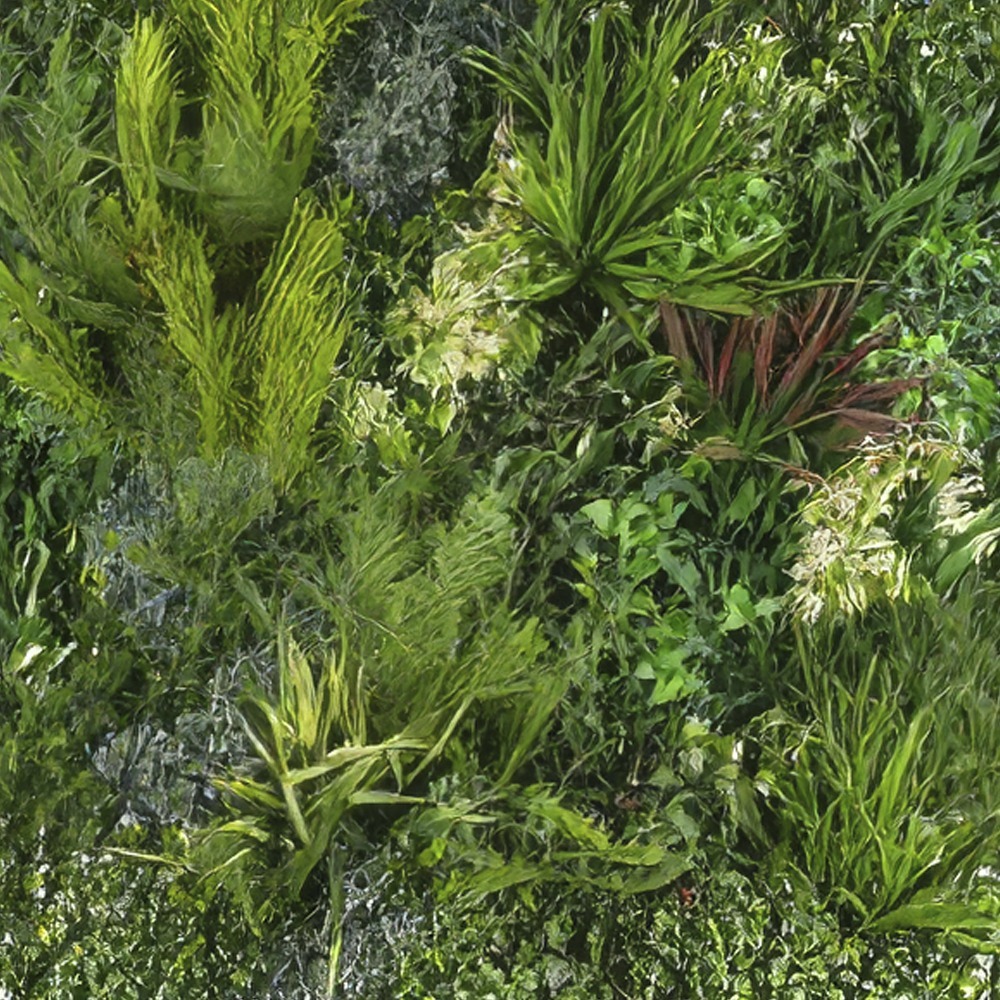 Modular Green Wall Partitions Featured Image