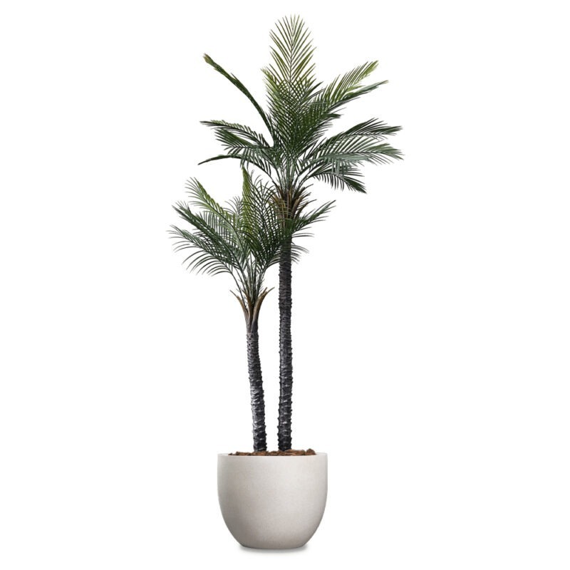 Palma Gemela Artificial Palm Tree featured Image
