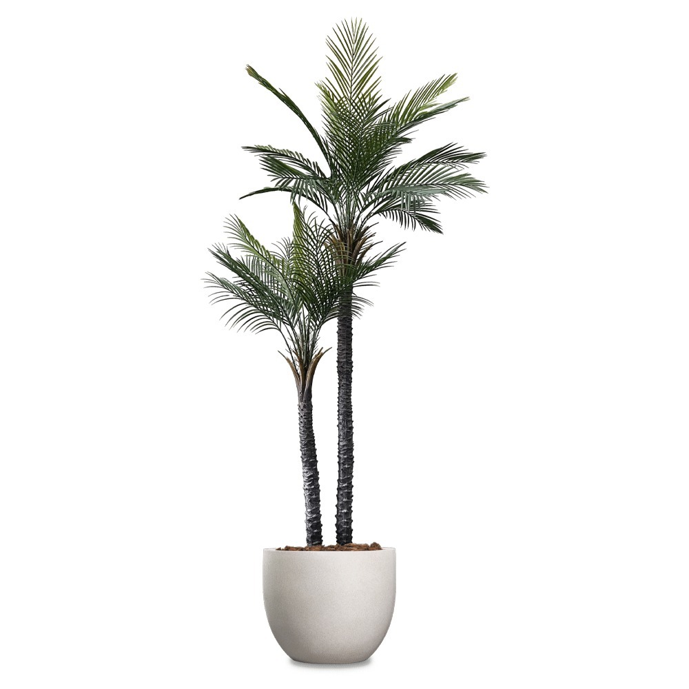 Palma Gemela Artificial Palm Tree featured Image