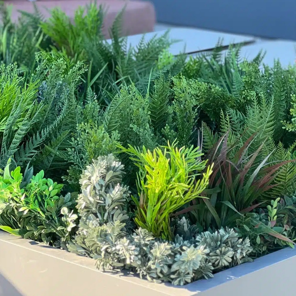 Plants for Planters and Posts Featured Image