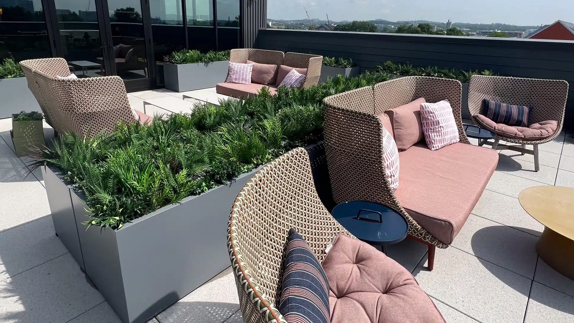 Plants for Planters Posts Header Image