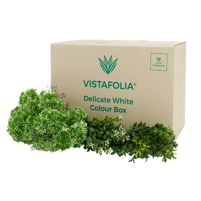 Vistafolia Delicate White Colour Box