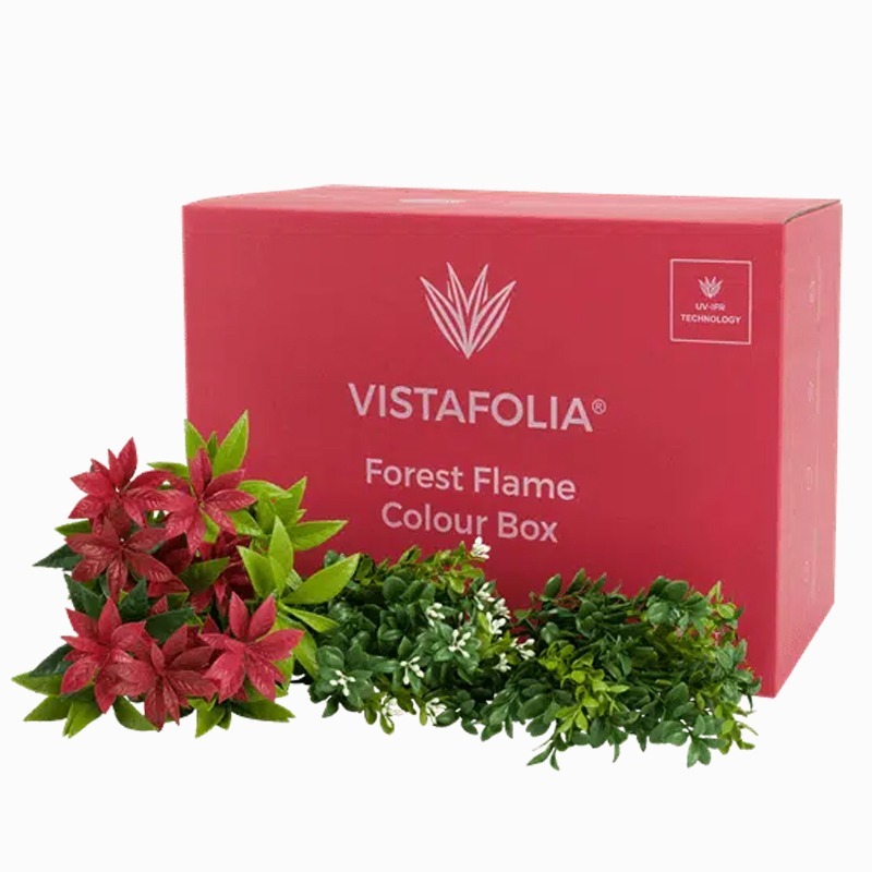 Vistafolia Forest Flame Colour Box