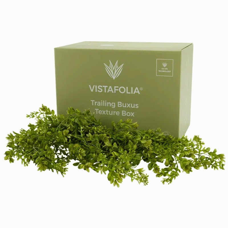 Trailing Buxus Texture Box