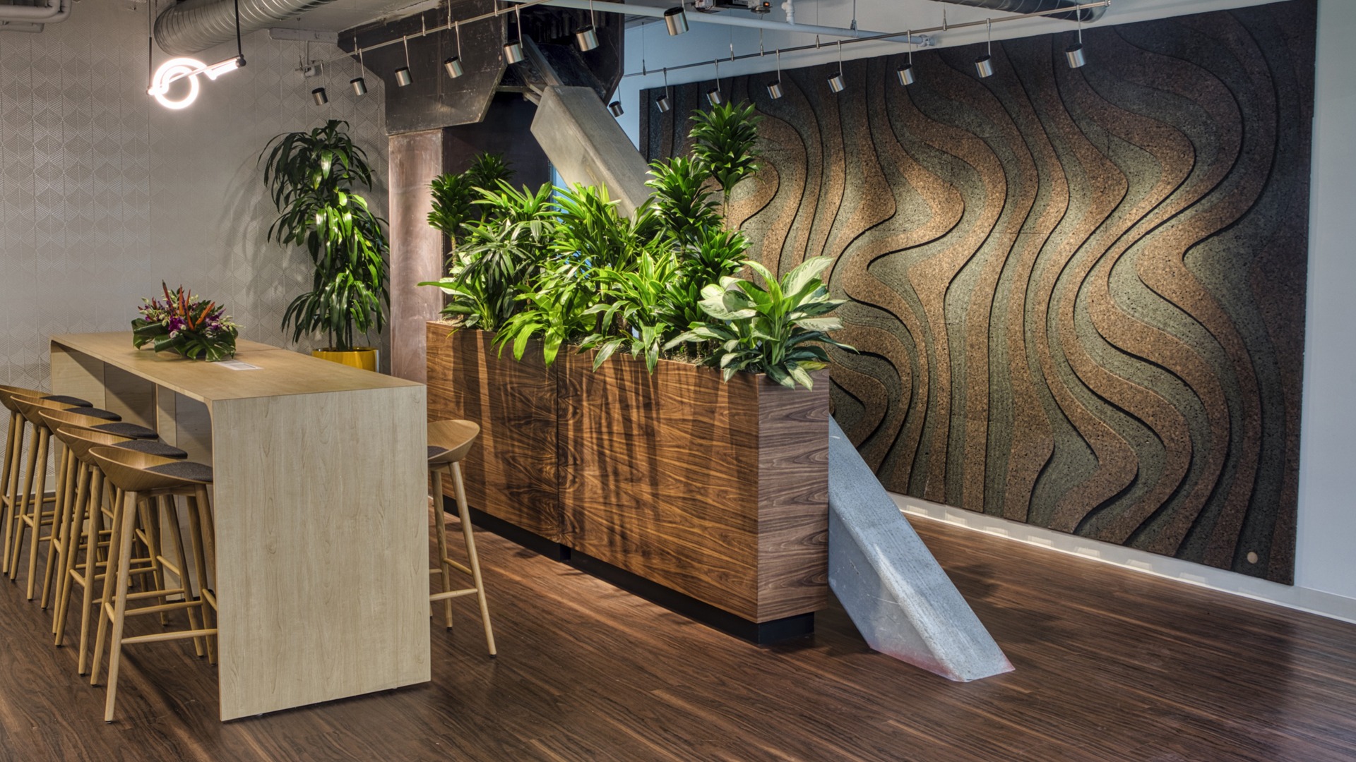 Creative Jungle Product Image