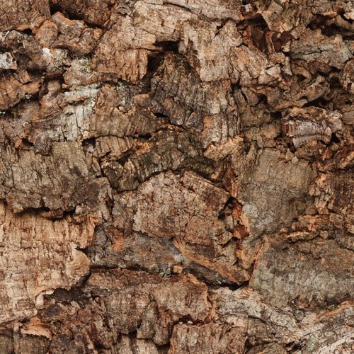 Rusticork Bark