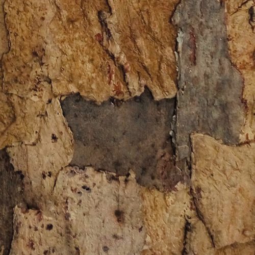Rusticork Sandstone