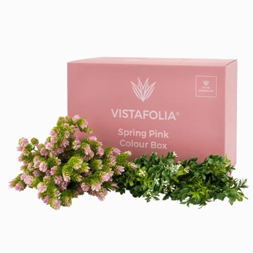 Spring Pink Colour Box
