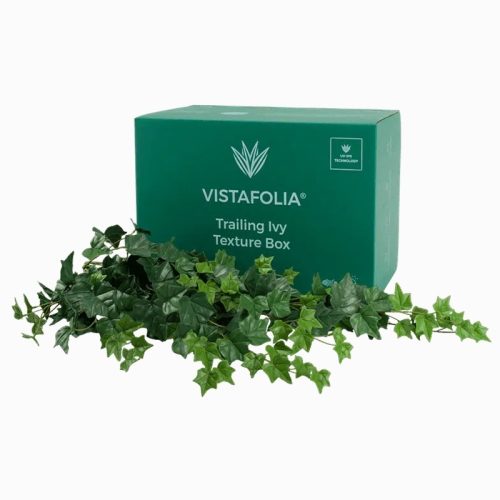 Trailing Ivy Texture Box