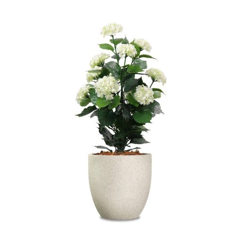 White Hydrangea Product Image