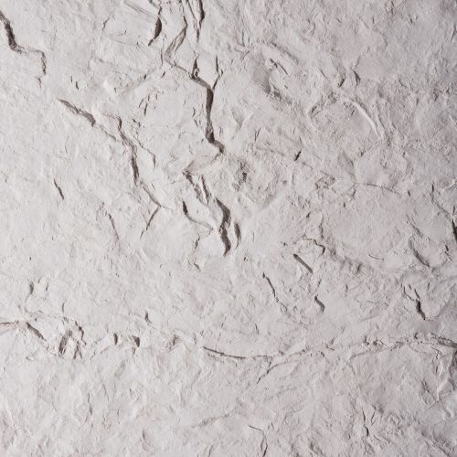 Skye Oyster Image